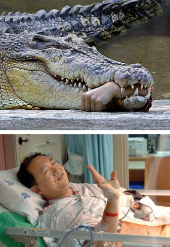 070413-crocodile-picture.jpg