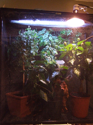 DSCF3636.JPG