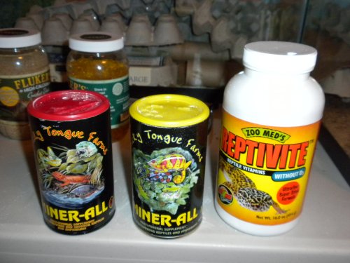 vitamins for gizmo 002.jpg