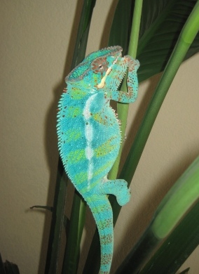 passion party 007.jpg