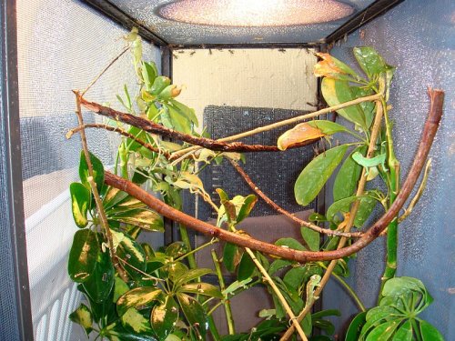 Sundaypics 010.jpg