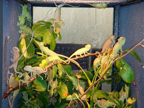 Sundaypics 015.jpg