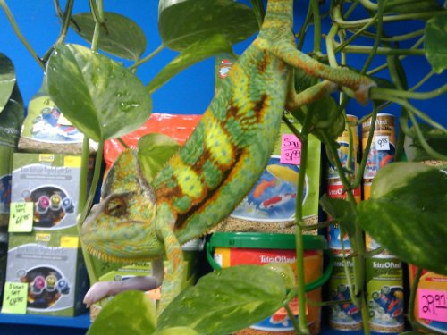 2009-06-22 11.27.12.jpg