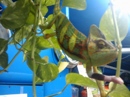 2009-06-22 11.27.37.jpg