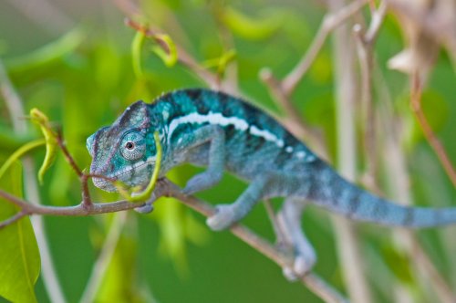 DSC_4617.jpg