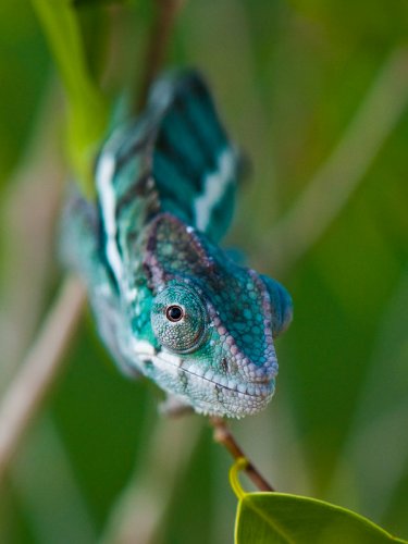 DSC_4594.jpg