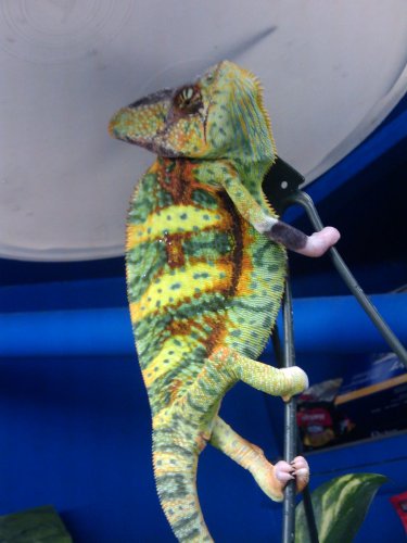 2009-06-26 13.38.13.jpg