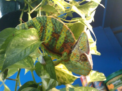 2009-06-26 18.08.14.jpg