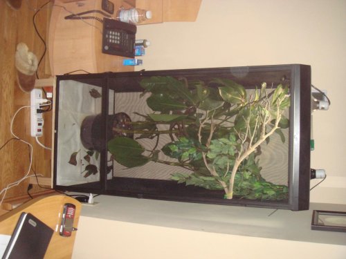 Picture 004.jpg