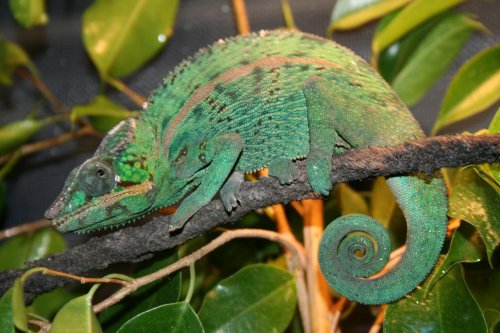 new fam additions 62809 005.jpg