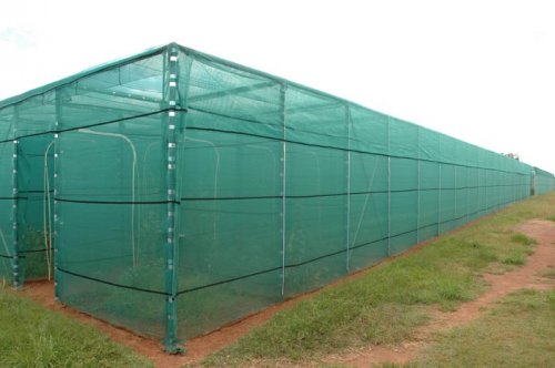 Chameleon cages under construction.jpg