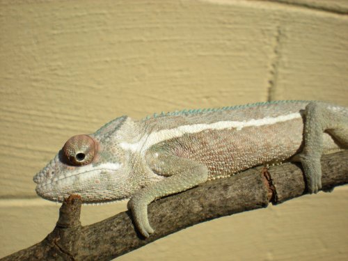 DSCN1121.JPG