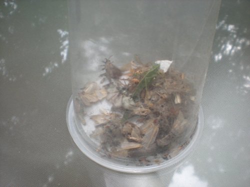 DSCN1162.JPG