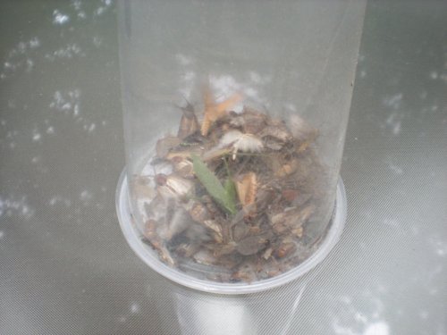 DSCN1164.JPG