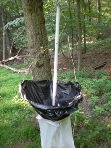 DSCN1200.JPG