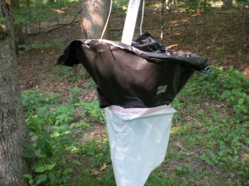 DSCN1199.JPG