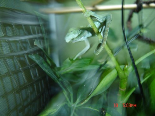 DSC02987.jpg
