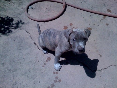 ares 7-08-09.jpg