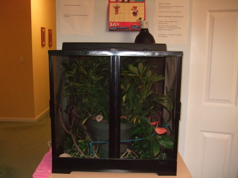 Cage setup.jpg