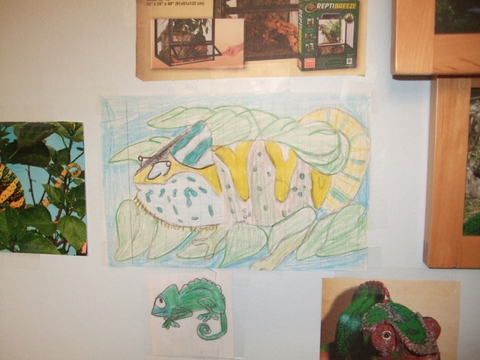 Drawing of luie.jpg