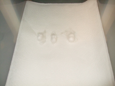 3 silkworm cocoons.jpg