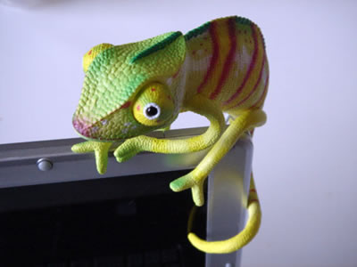 USBChameleon.jpg