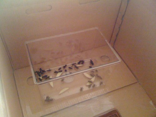 Picture 126.jpg