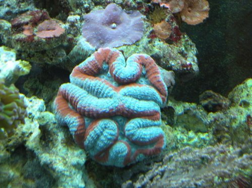 DSCN0887.jpg