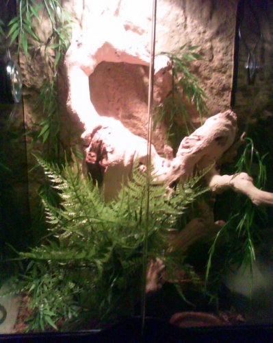 img0309.jpg