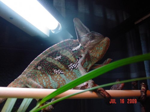 July 2009 144.jpg