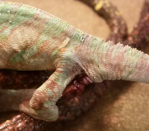 2014-10-24 13.42.31.jpg