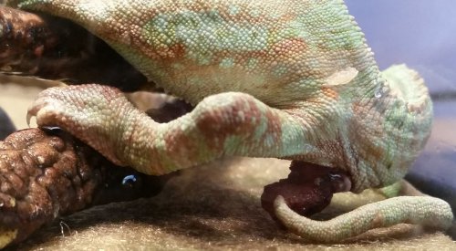 2014-10-24 13.43.08.jpg