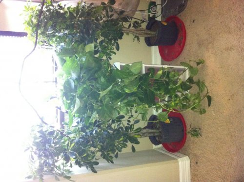 photo_3[1].jpg