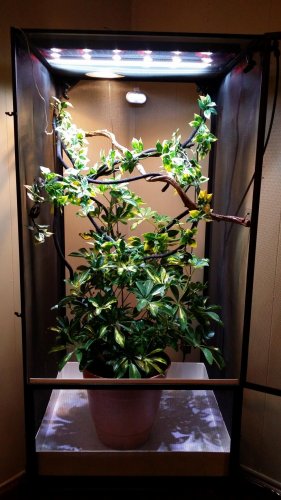 2014-10-13 22.07.44.jpg