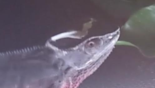 2014-11-03 22.48.36.jpg