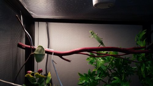 20141111_121854.jpg