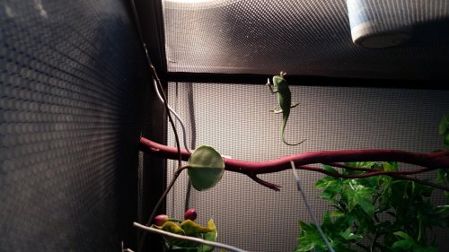 20141111_122023.jpg