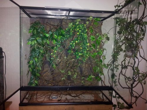 20141111_183244 (1).jpg