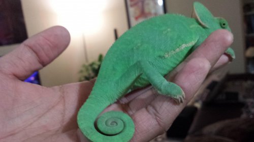 2014-11-12 18.33.43.jpg