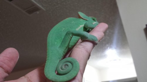 2014-11-12 18.34.46.jpg