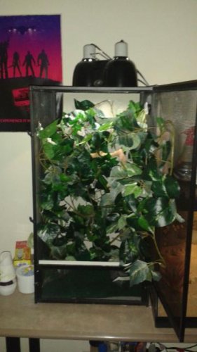 securedownload (2).jpg