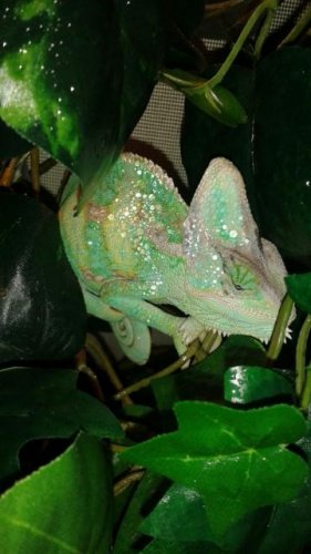 securedownload (1).jpg