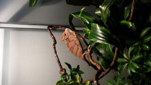 20141119_103242.jpg