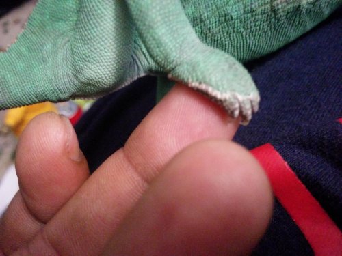 IMG_20141125_013119.jpg