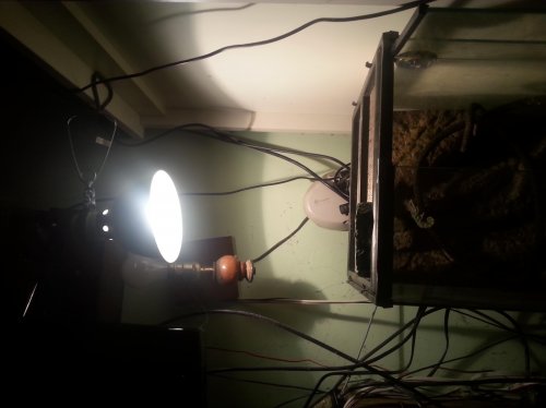 20141128_222406.jpg