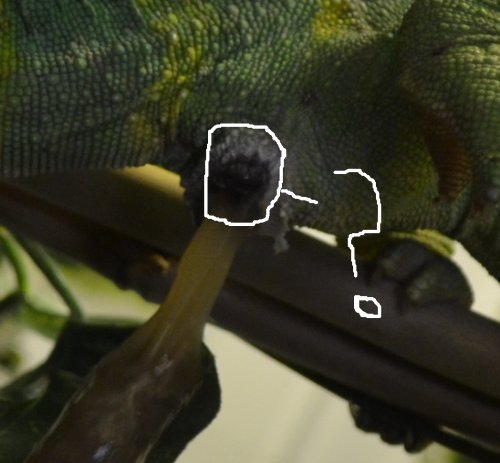 small-male3.jpg