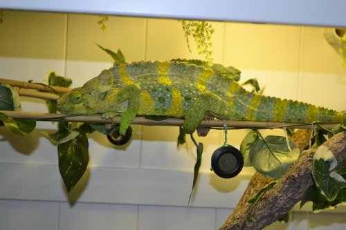 DSC_0021.jpg