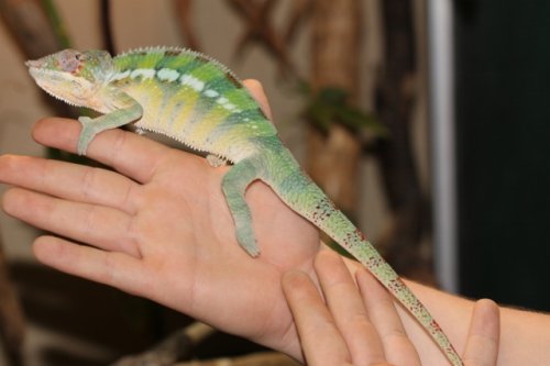 IMG_9417 (640x427).jpg