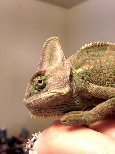 FullSizeRender (1).jpg