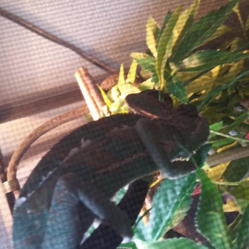20141226_162143.jpg